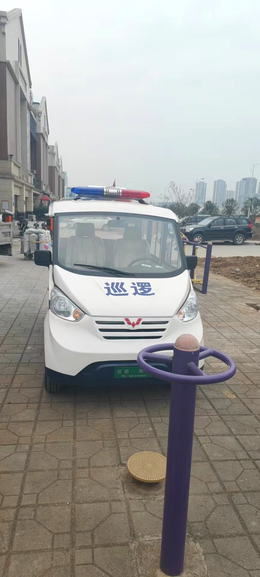 2023年2月德阳镇江居委会交车现场-公司动态-电动旅行车|景区旅行车|景区共享车|运营|出租|巡逻车|消防车|电动小火车|燃油旅行车|厂家-Bwin必赢亚洲