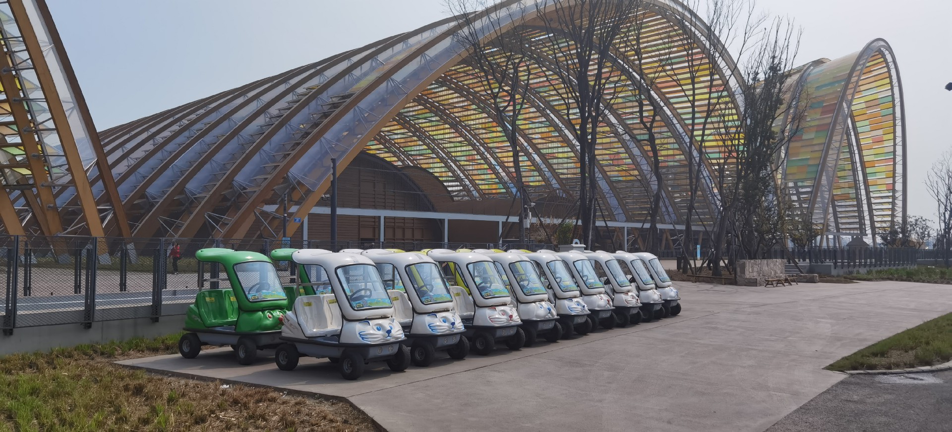 我司投入大宗共享电动车运营四川天府农博岛迎来沐春季看菜花花-公司动态-电动旅行车|景区旅行车|景区共享车|运营|出租|巡逻车|消防车|电动小火车|燃油旅行车|厂家-Bwin必赢亚洲