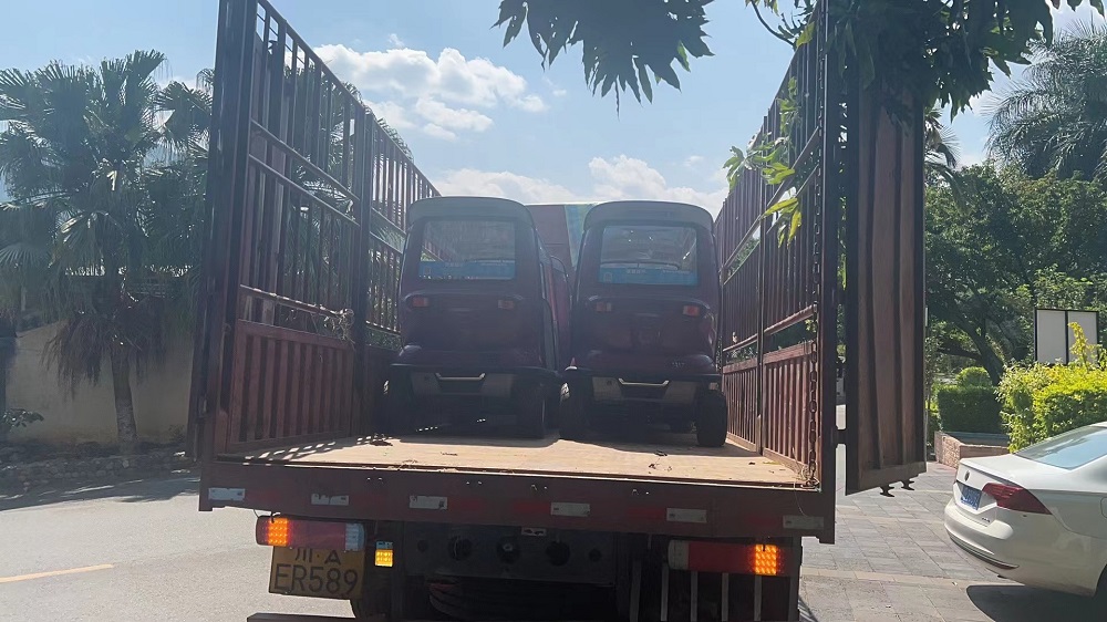 交车乐成——攀枝花仁和公园-乐成案例-电动旅行车|景区旅行车|景区共享车|运营|出租|巡逻车|消防车|电动小火车|燃油旅行车|厂家-Bwin必赢亚洲