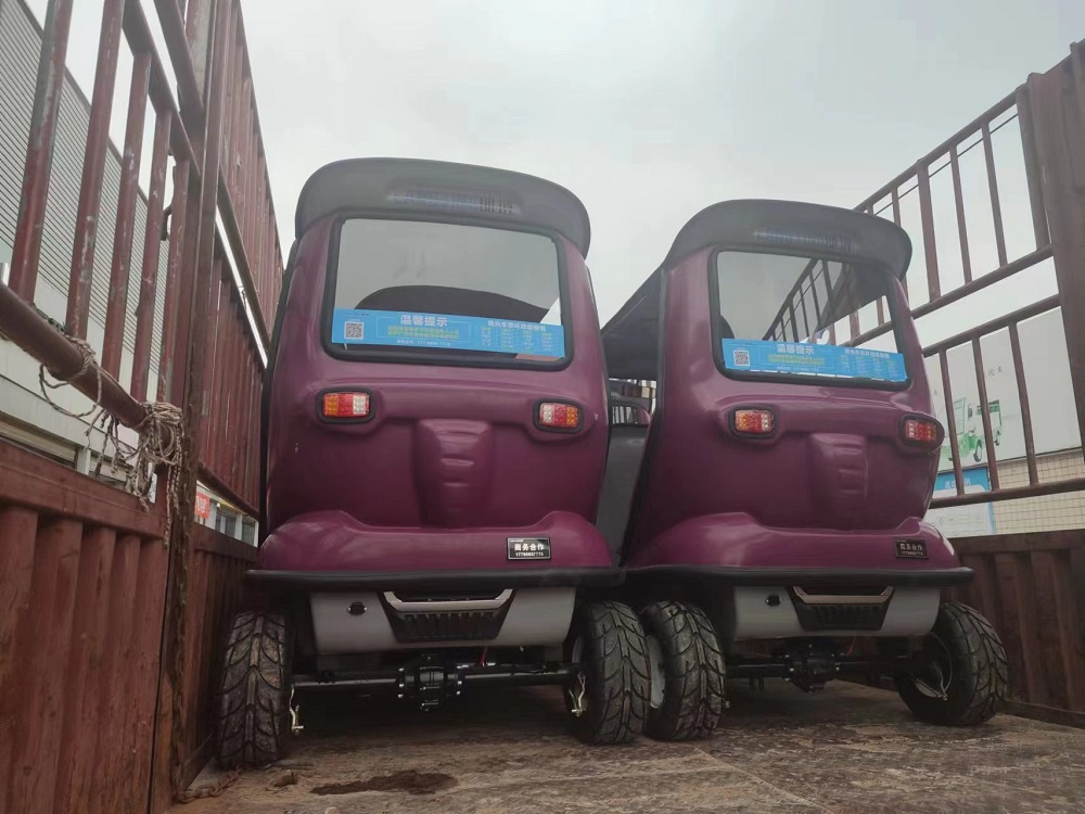 交车乐成——攀枝花仁和公园-乐成案例-电动旅行车|景区旅行车|景区共享车|运营|出租|巡逻车|消防车|电动小火车|燃油旅行车|厂家-Bwin必赢亚洲