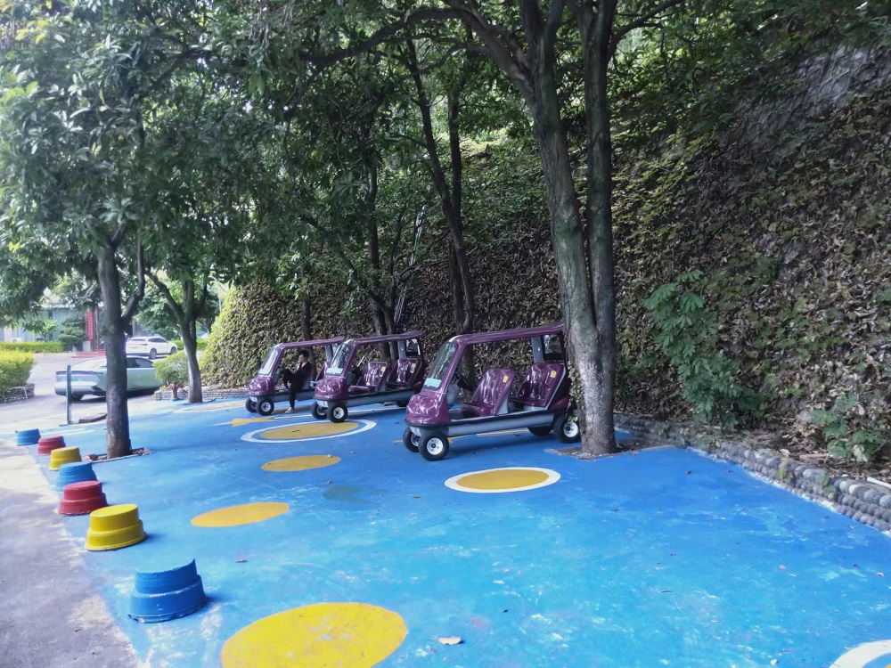 交车乐成——攀枝花仁和公园-乐成案例-电动旅行车|景区旅行车|景区共享车|运营|出租|巡逻车|消防车|电动小火车|燃油旅行车|厂家-Bwin必赢亚洲