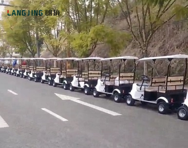 景区共享旅行车投放——自贡国际恐龙节灯会