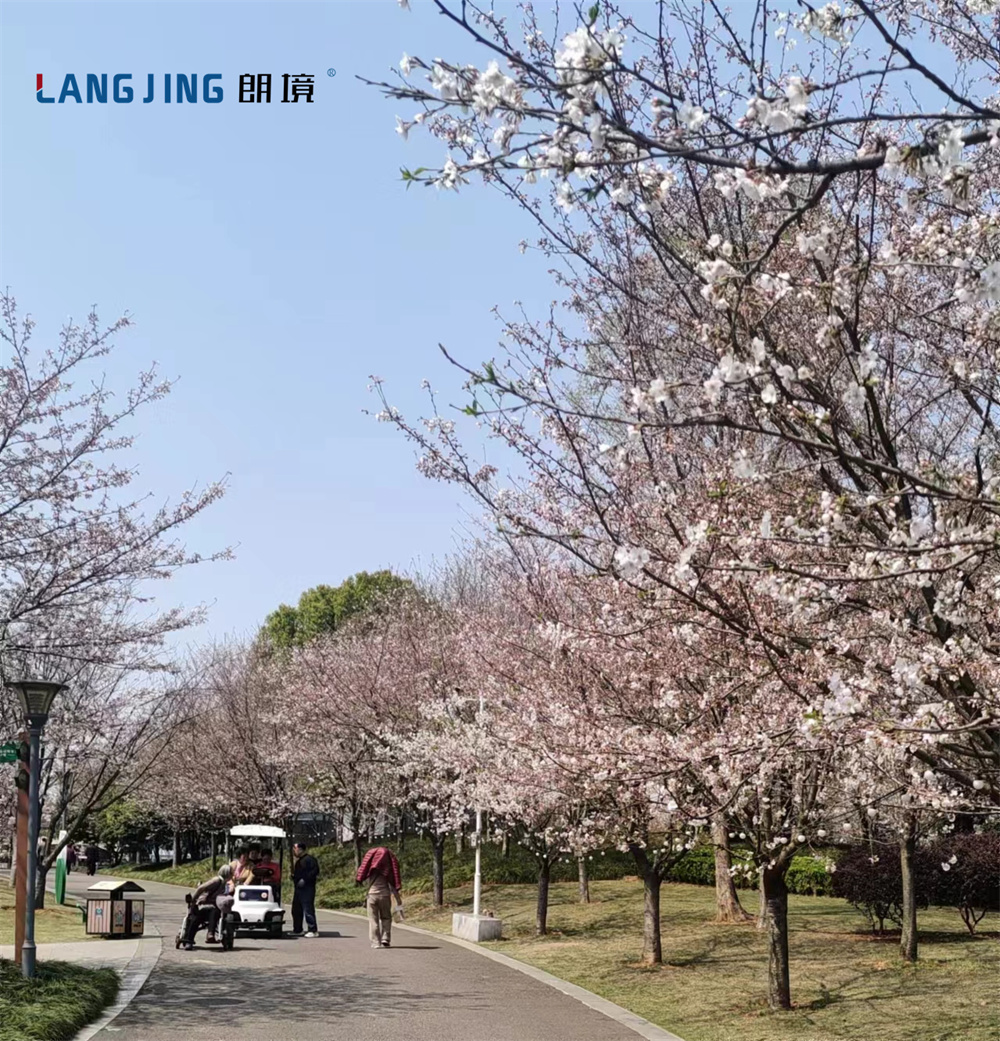 景区共享旅行车投放——四川眉山文创博览园-景区公园-电动旅行车|景区旅行车|景区共享车|运营|出租|巡逻车|消防车|电动小火车|燃油旅行车|厂家-Bwin必赢亚洲