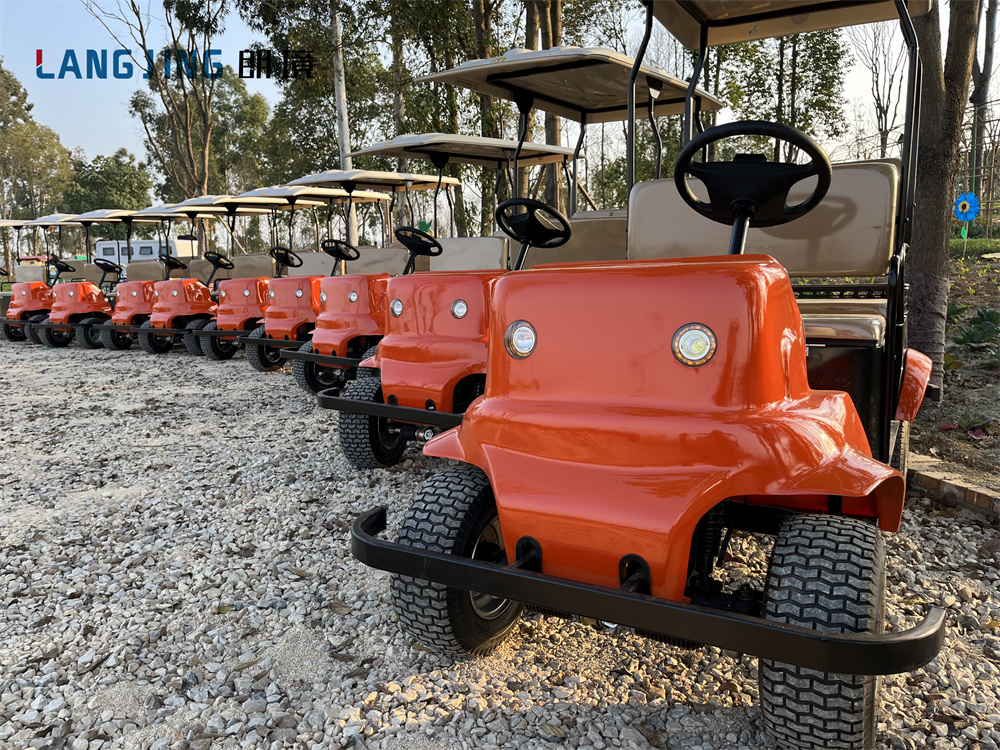 景区共享旅行车投放——四川中国橘乡-景区公园-电动旅行车|景区旅行车|景区共享车|运营|出租|巡逻车|消防车|电动小火车|燃油旅行车|厂家-Bwin必赢亚洲